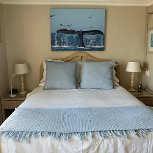 Whale's Tale Fish Hoek